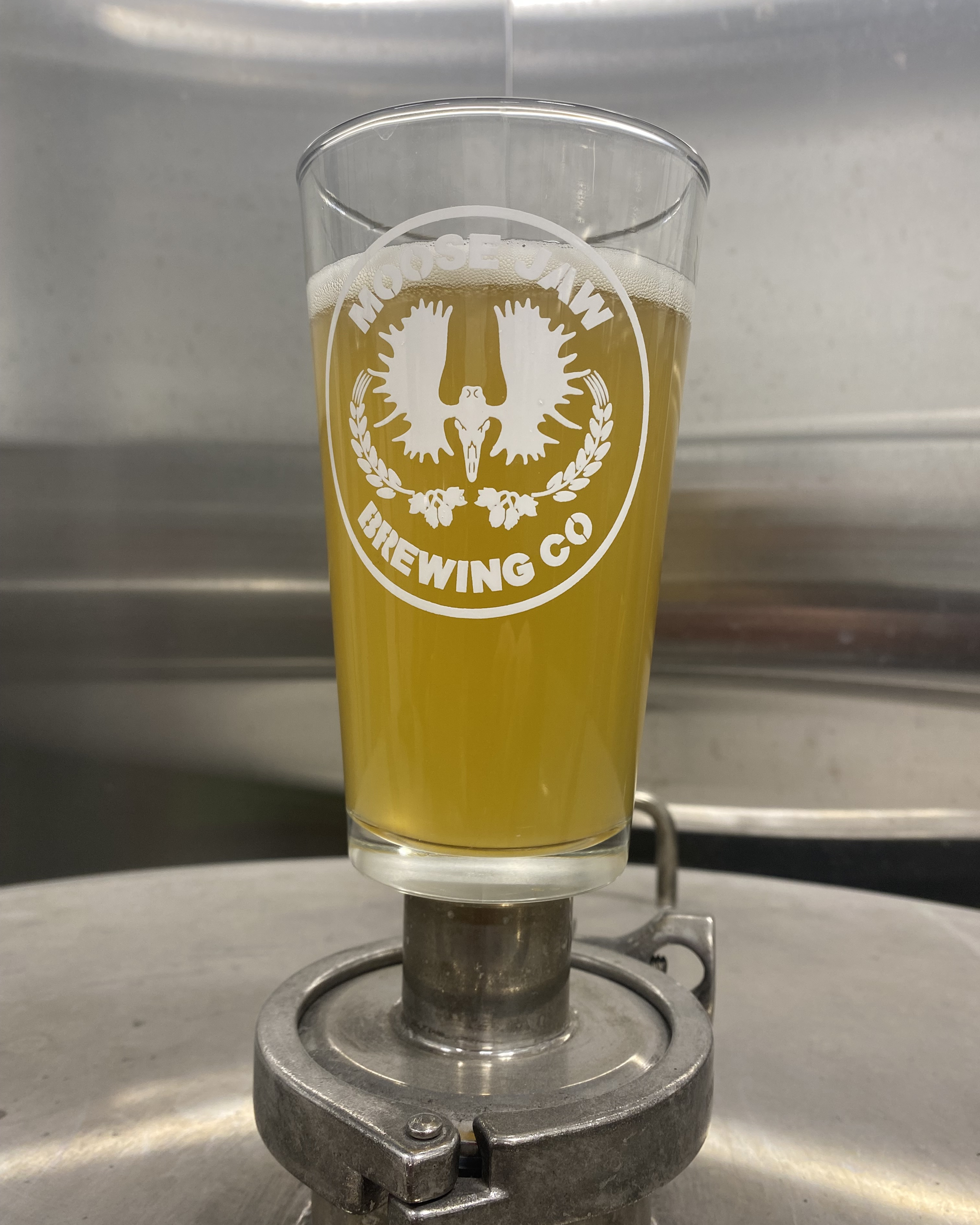Lemon Ginger Lite MJB Lemon Ginger Lite beer in a glass