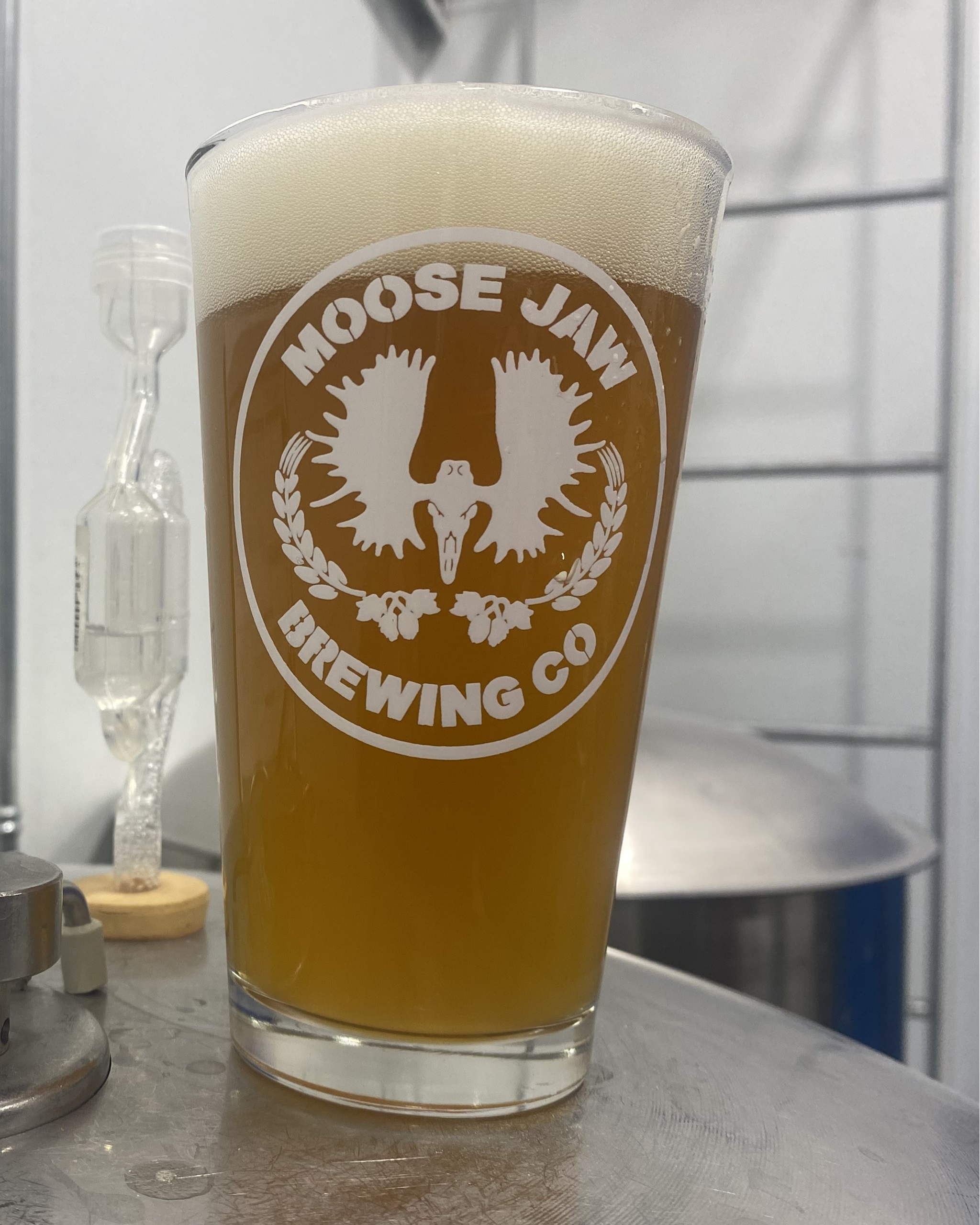 Spring Creek IPA Spring Creek IPA